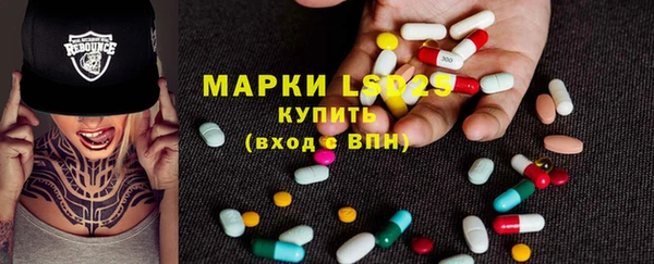 ГАЛЛЮЦИНОГЕННЫЕ ГРИБЫ Балабаново