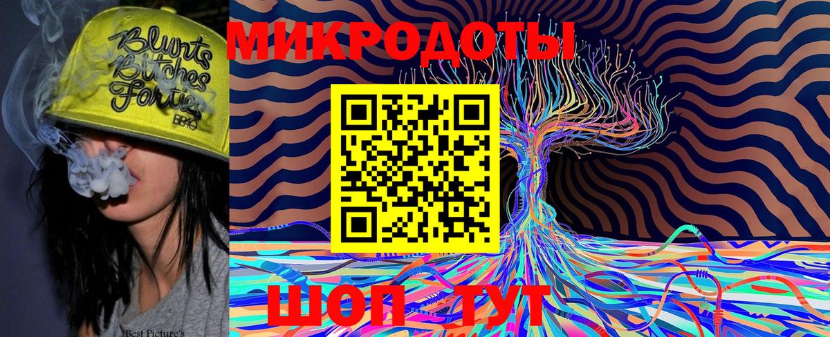 Псилоцибиновые грибы Psilocybine cubensis Белогорск